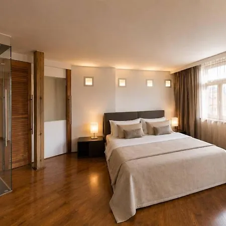 Luxury Two-bedroom Penthouse With Terrace And Ac * Praga